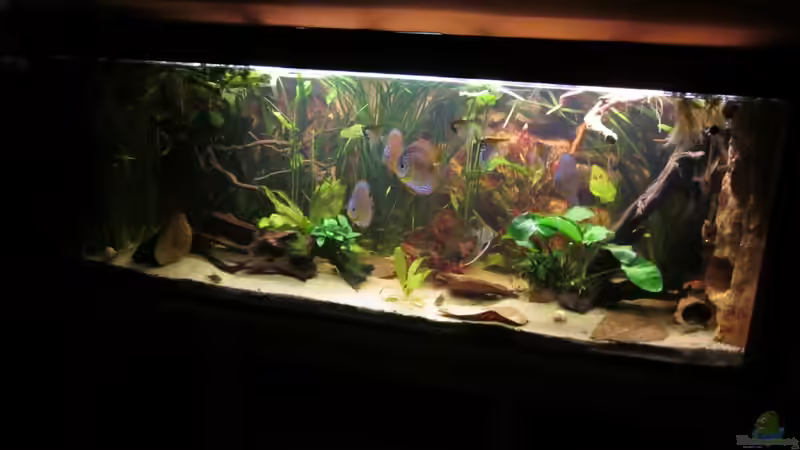 abdunkeln3 von maxarl (13)