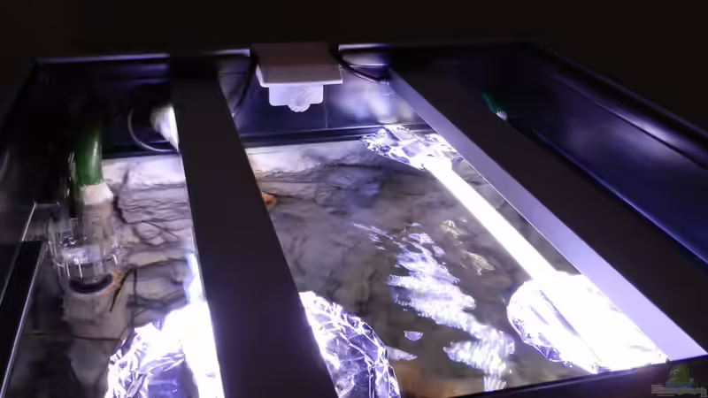 Abdunkelung: ´Seerosenblätter´ aus Alufolie auf zwei Aluschienen - verschiebbar! von Sambia (17)