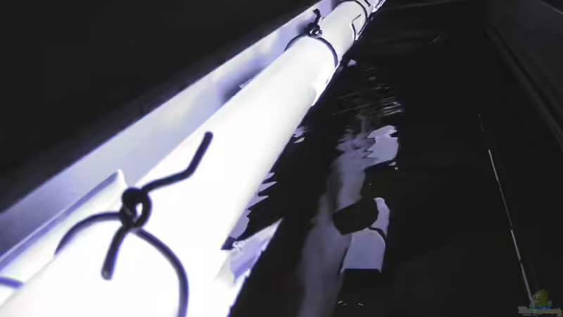 Abdunklung der Röhren durch kleine nach oben gedrehte Reflektorteile von Christoph Winter (9)