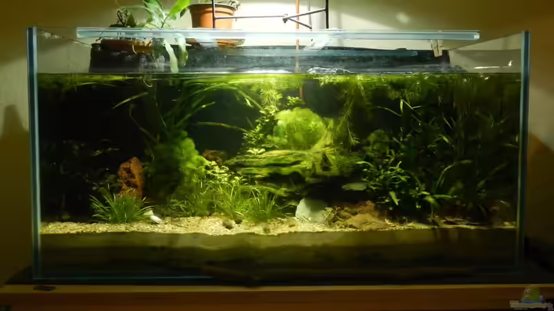 Abdunklung der Rückseite für einen Tiefeneffekt. von miv (14)