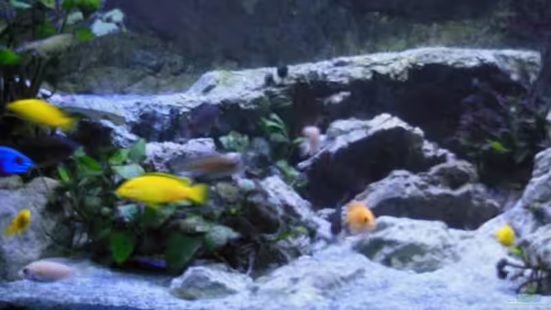 abedunkelt 4 von tomwu (52)