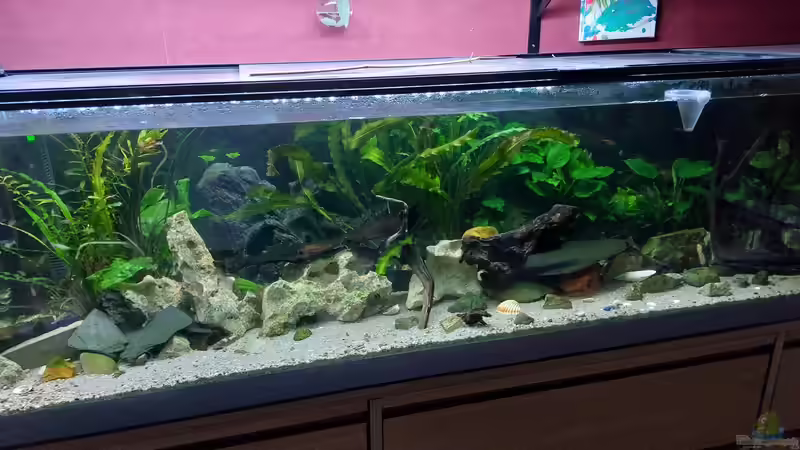 abend dämmerung von ErfurtOldy (2)