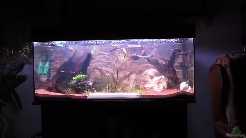 Abend-Licht (Bild direkt nach Inbetriebnahme) von Dani82 (3)