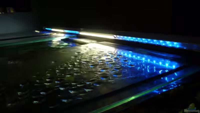 Abend und Nachtlicht von aquabert (21)