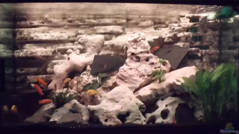 Abend von IC-Killer (3)