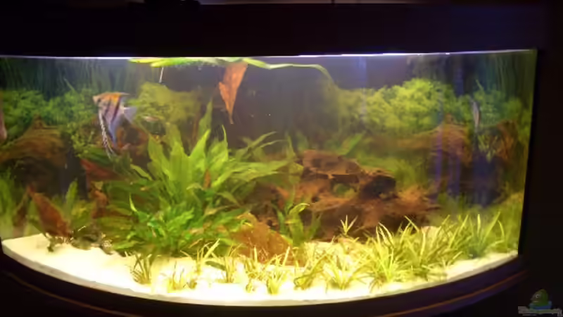 Abendaufnahme von VL (2)