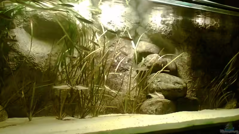 Abendbeleuchtung von Alex Stark (7)