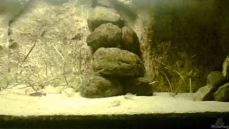 Abendbeleuchtung von Alex Stark (8)