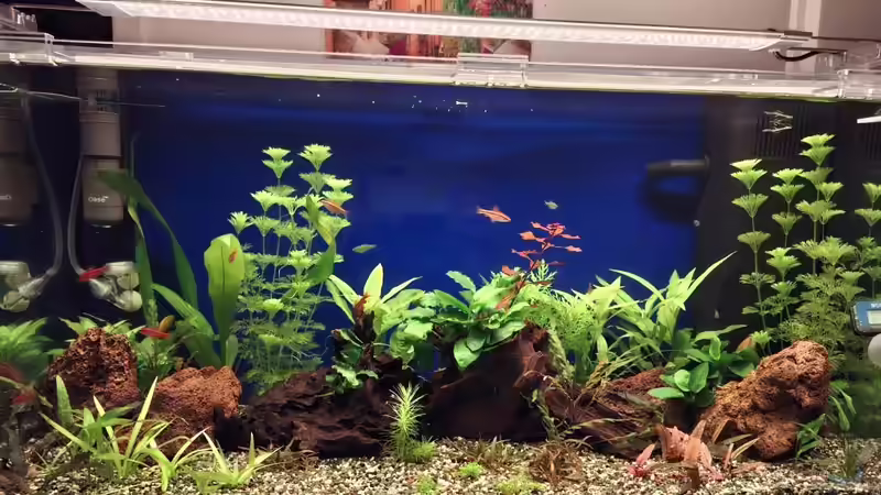 Abenddämmerung 3 von ernst11 (8)