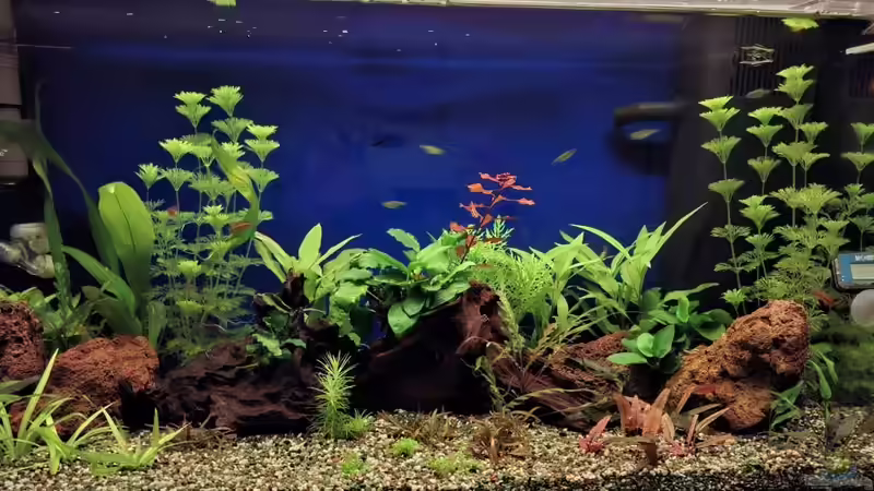 Abenddämmerung 4 von ernst11 (9)