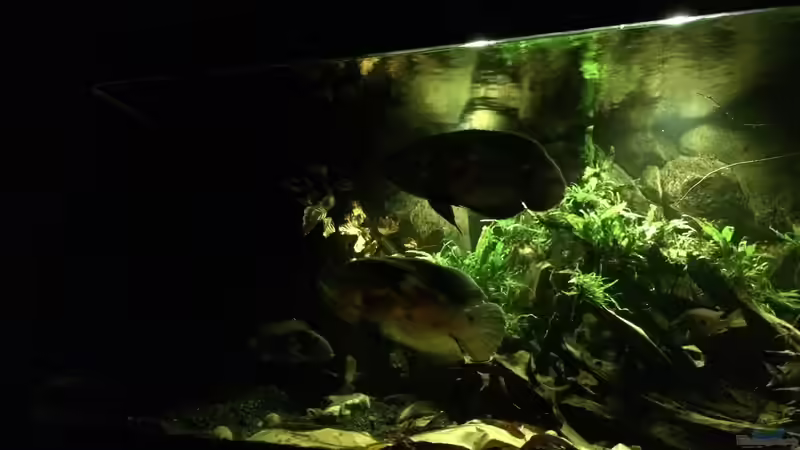 Abenddämmerung hellere Beleuchtung von Jonas B. (13)