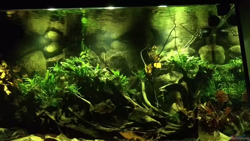 Abenddämmerung hellere Beleuchtung von Jonas B. (14)