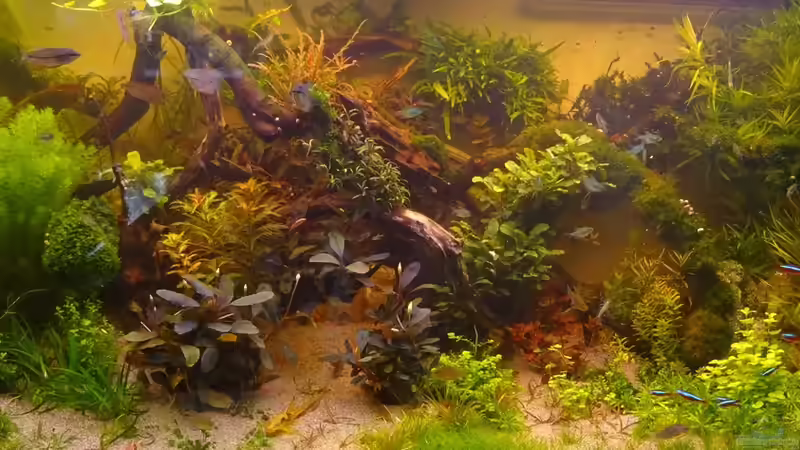 Abenddämmerung von achim-cool (5)