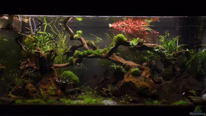 Abenddämmerung von Gallius (8)