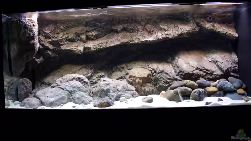 Abenddämmerung von Markus Walter (8)