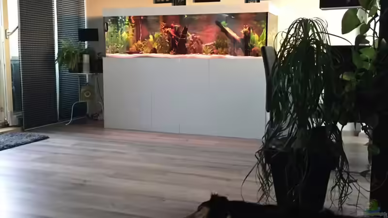 Abenddämmerung von stroelly (2)