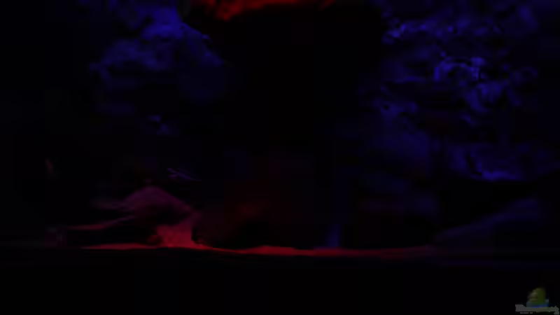 Abenddämmerung Abenddämmerung