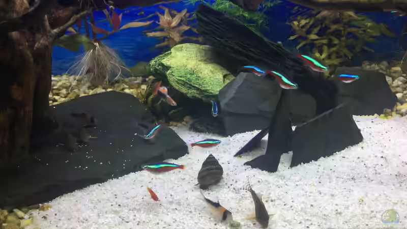 Abendfütterung  von .Andreas. (90)