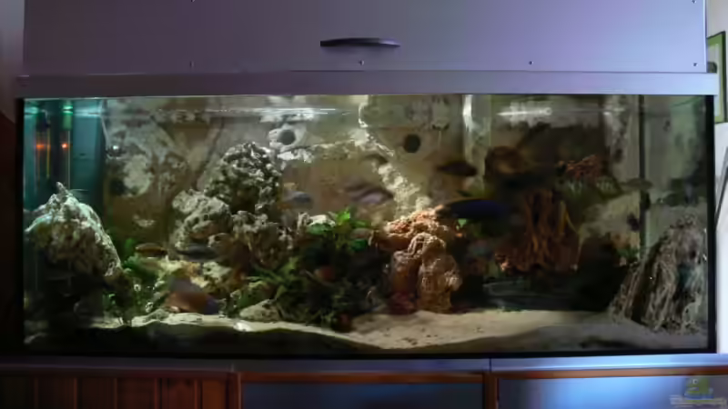 Abendlandschaft 2.... von Christian Klar (8)