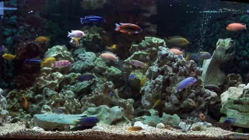 Abendlicht von René Ickelsheimer (4)