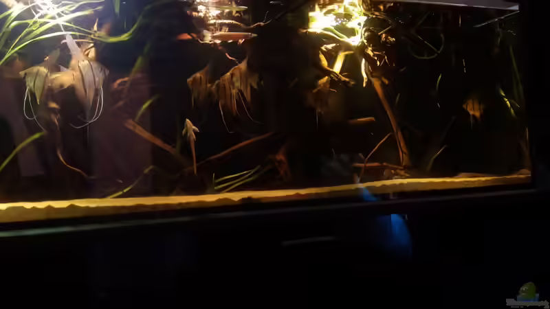 Abendlicht von Sebastian Müller (48)