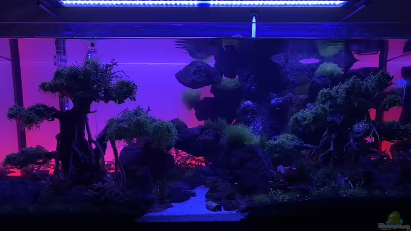 Abendrot  von Matze3110 (13)