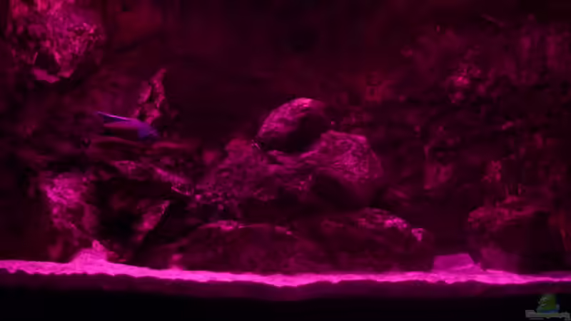 Abendrot 26.02.2014 von DER YBBSTALER (13)