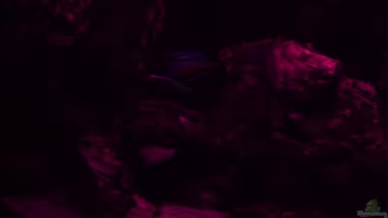 Abendrot 26.02.2014 von DER YBBSTALER (14)