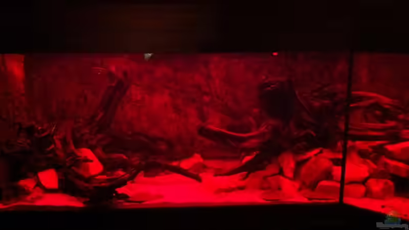 Abendrot legt sich langsam über die linke Seite. von GGuardiaNN (16)