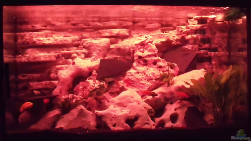 Abendrot von IC-Killer (4)