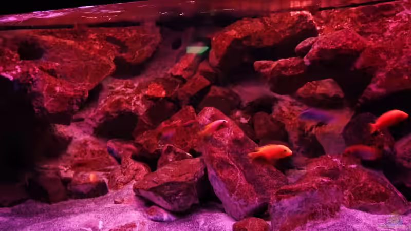 Abendrot von wadde (13)