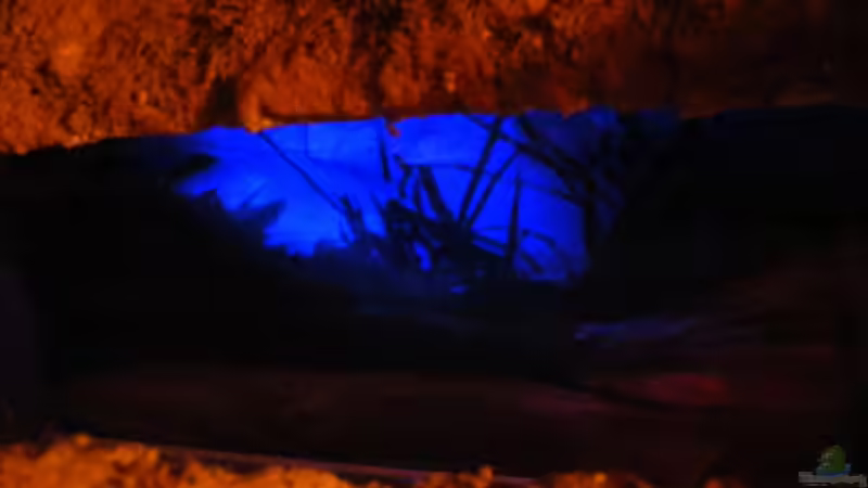 abends bis 23 Uhr von Falk (28)