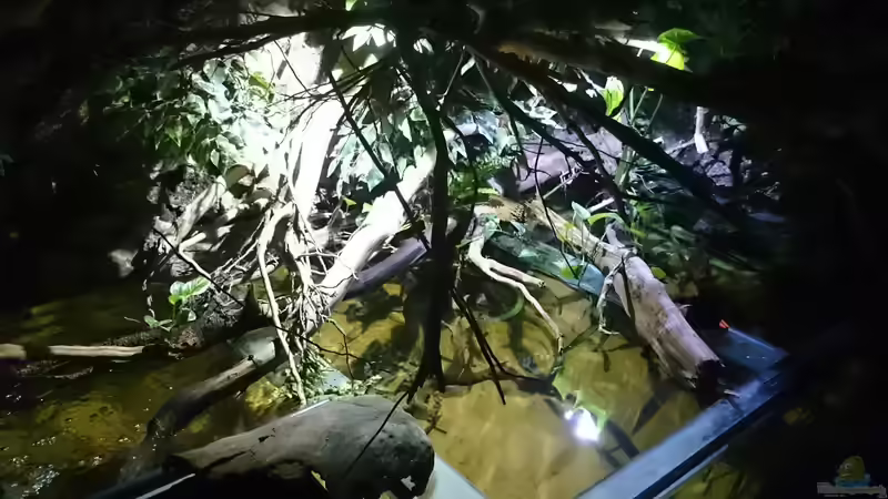 Abends von Christoph Ottacher (4)