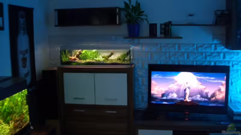 abends von navigator1 (3)