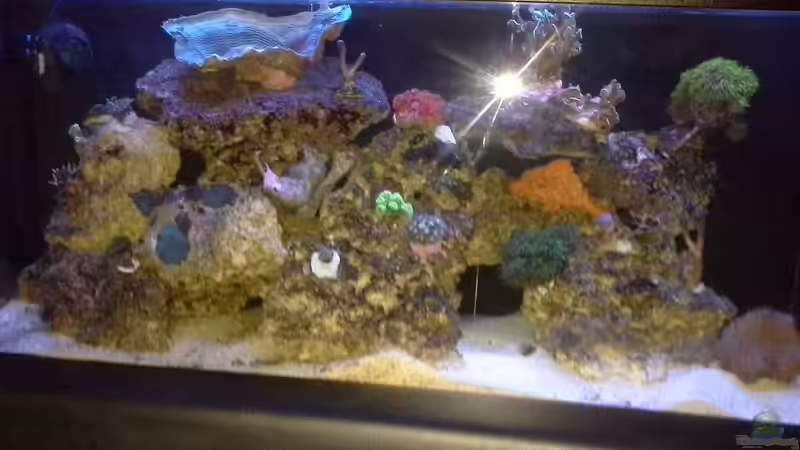 Abendsonne setzt ein. von Tim1979 (9)