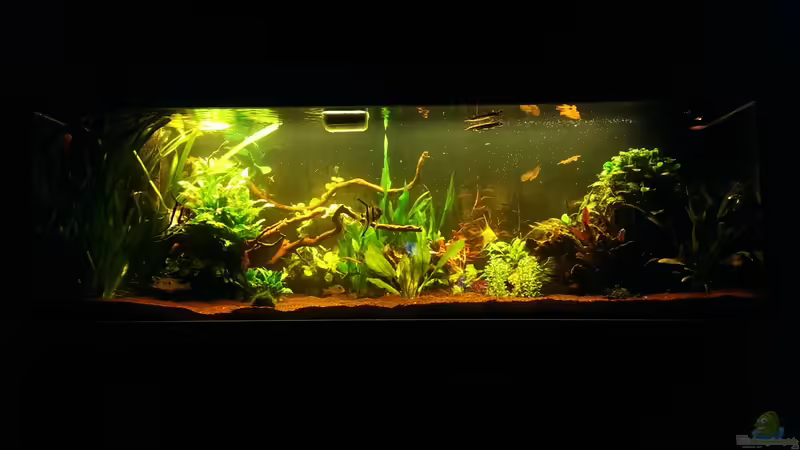 Abendsonne von Seemann (10)