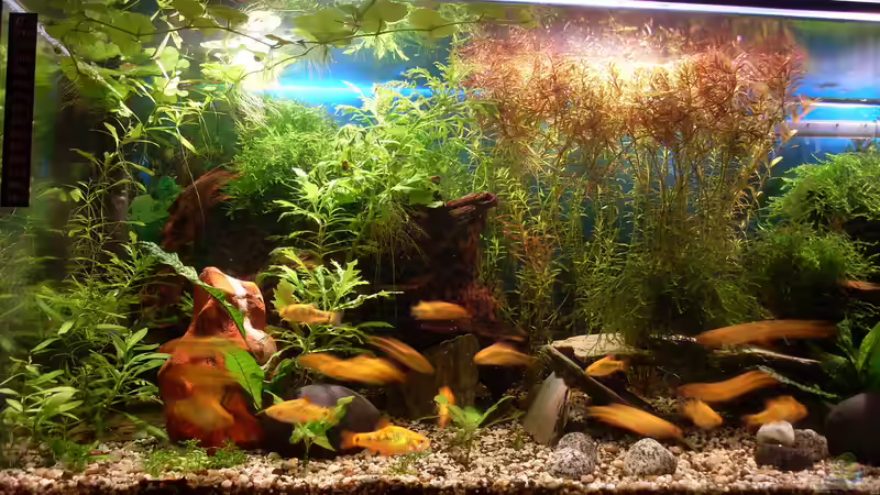 Abendsonne von Stefano83 (34)