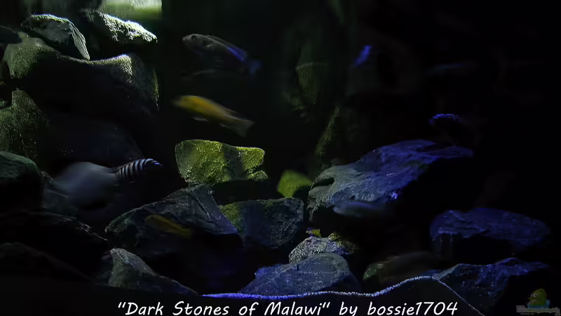 Abendstimmung... von bossie1704 (31)