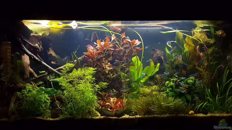 Abendstimmung  von Mel (9)