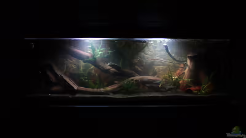 Abendstimmung (02.02.2016) von SouthAmerica (3)