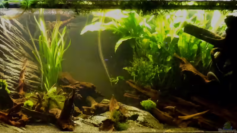 Abendstimmung 08.03.2016 von Thorsten G. (7)