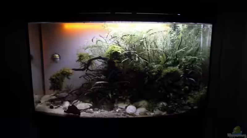 Abendstimmung 17.03.2014 von Martin W. (5)