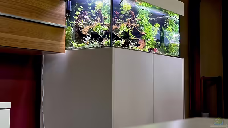 Abendstimmung 2 von Tim1979 (6)