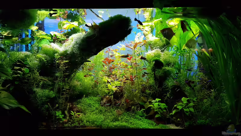 Abendstimmung am 13.03.2016 von Sebastian Hartmann (85)