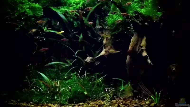 Abendstimmung Beleuchtung mit 2x 1 Watt und 2x 3 watt Led von snooze (7)