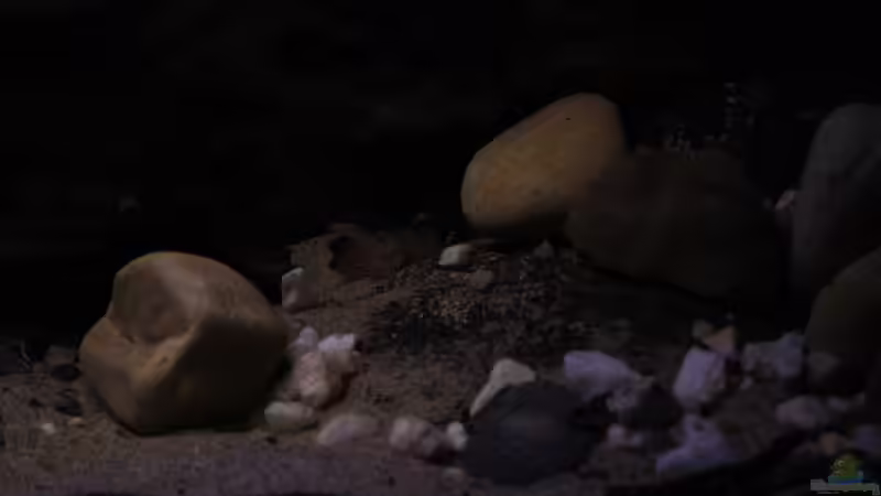 Abendstimmung im Becken von Florian Bandhauer (45)