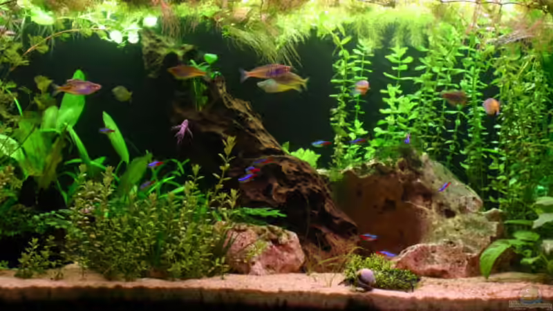 Abendstimmung mit 2 Röhren für ca. 1/2 Stunde von Stephan Münker (2)