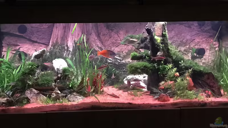 Abendstimmung von Acero (8)