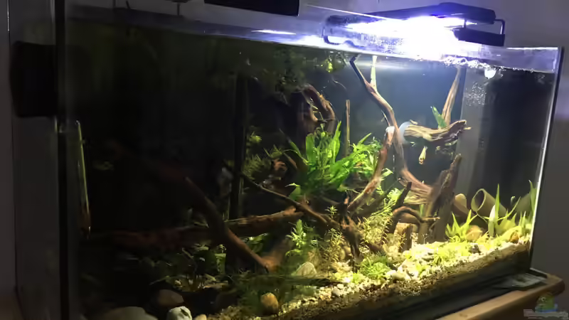 Abendstimmung von Harald Kästner (2)