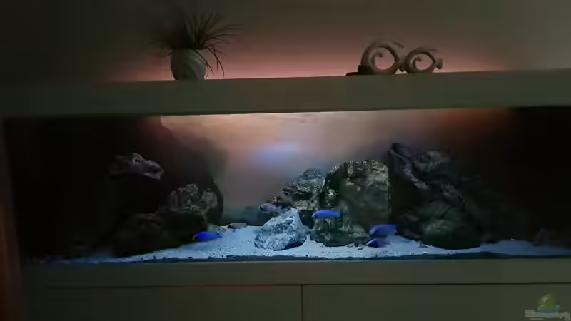 Abendstimmung von Marita K. (11)